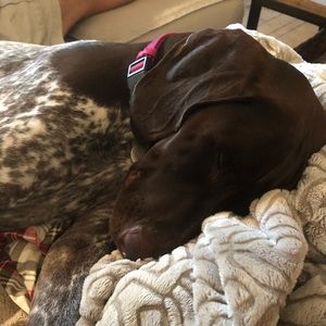 Meet your Posher, Whitney